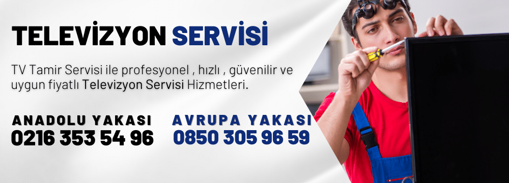 Ataşehir TV Servisi